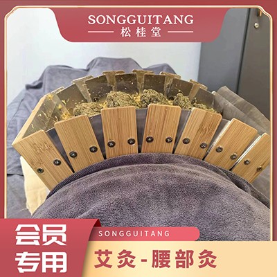 腰部灸（聊城店艾灸年卡会员专用）