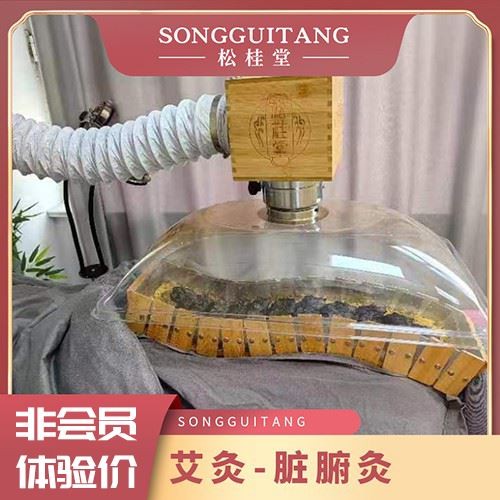 非会员体验价脏腑灸（聊城店）