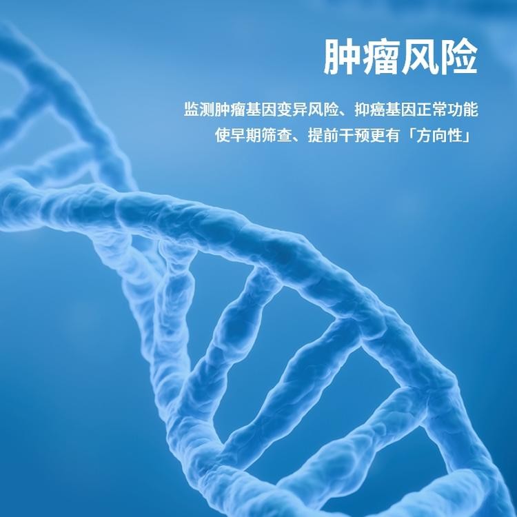 精准基因检测·肿瘤风险检测