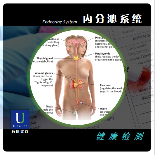 内分泌系统-肾上腺皮质压力管理与评估 