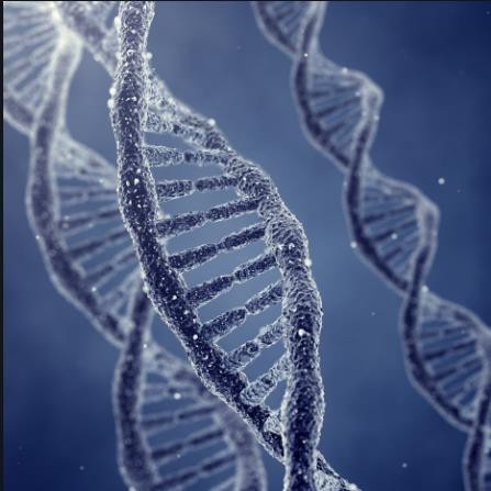 体检预约-肿瘤全筛基因检测套餐-南安美年大健康