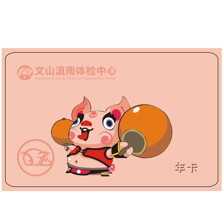 体检预约-（亥猪）12生肖年卡-文山滇南体检中心