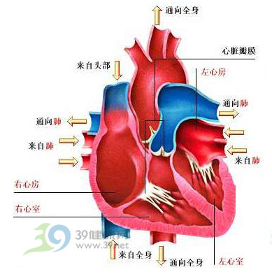 注意！这几种面相可能预示着心脏疾病，很多人都忽视了…