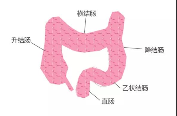 肠癌偷偷盯上了这几类人，早期发现治愈率95%