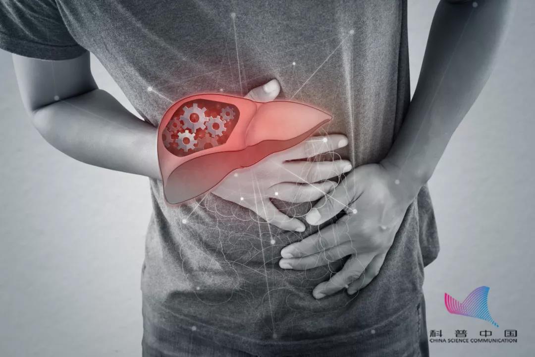 脂肪肝可逆转，也可能癌变！如果出现这些症状，当心肝脏已经受损…